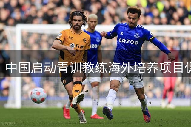中国启动"青训教练海外培养项目"促进足球人才培养